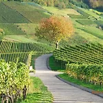Am Tanzberg