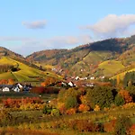 Am Tanzberg Διαμέρισμα *