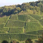 Am Tanzberg Oberkirch (Baden)