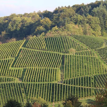 Am Tanzberg Oberkirch (Baden)