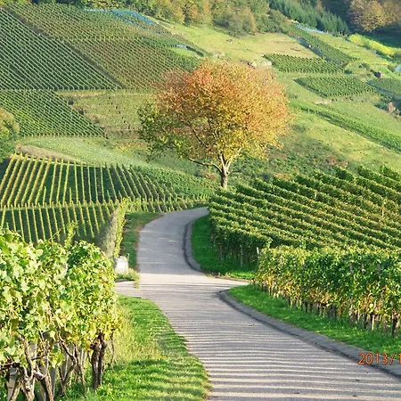 Am Tanzberg Oberkirch (Baden)